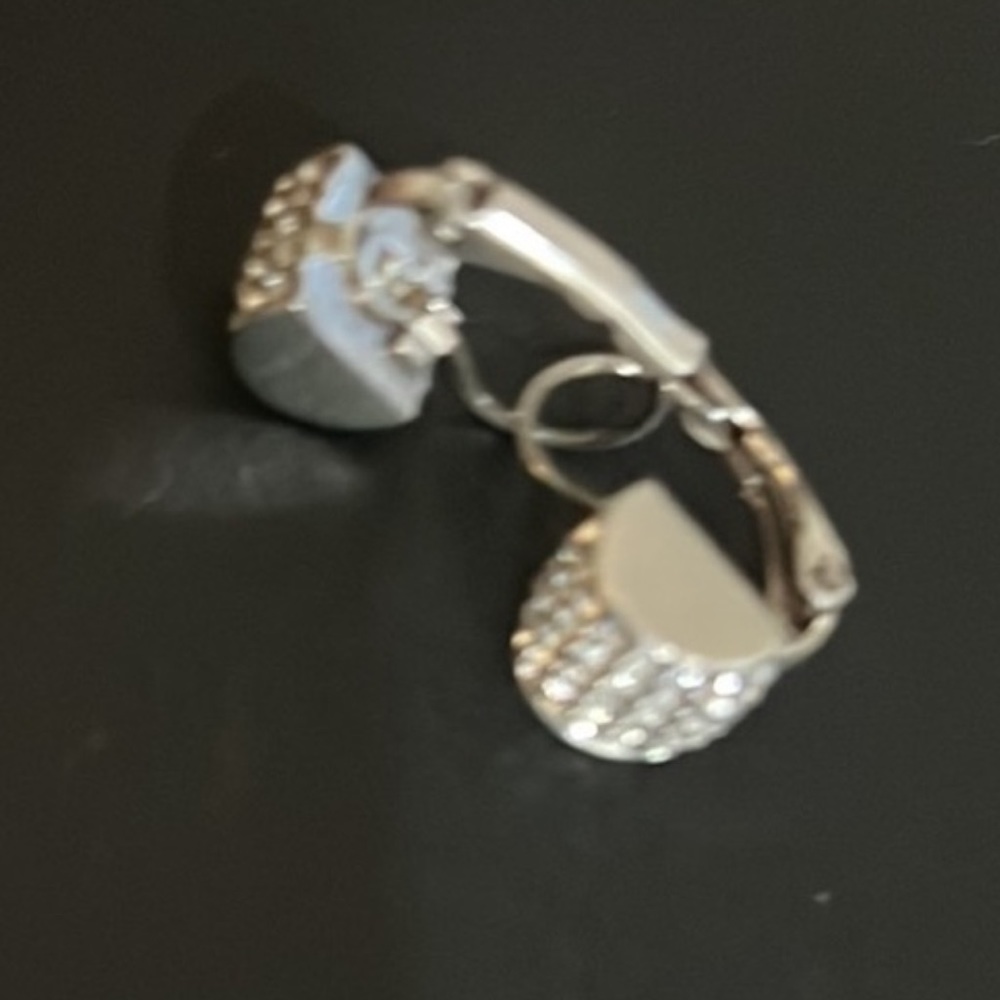 Brighton meridian earrings.